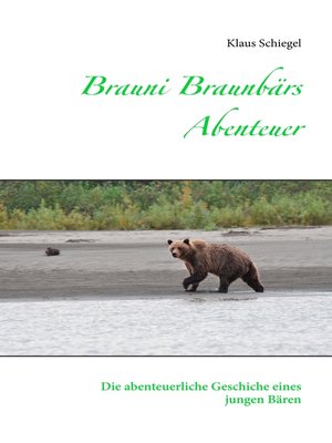 cover image of Brauni Braunbärs Abenteuer